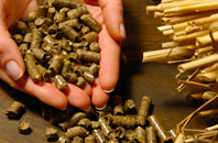 free The Green biomass boiler quotes